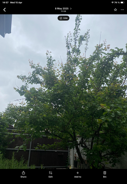 Pantelimon, soseaua Cernica,